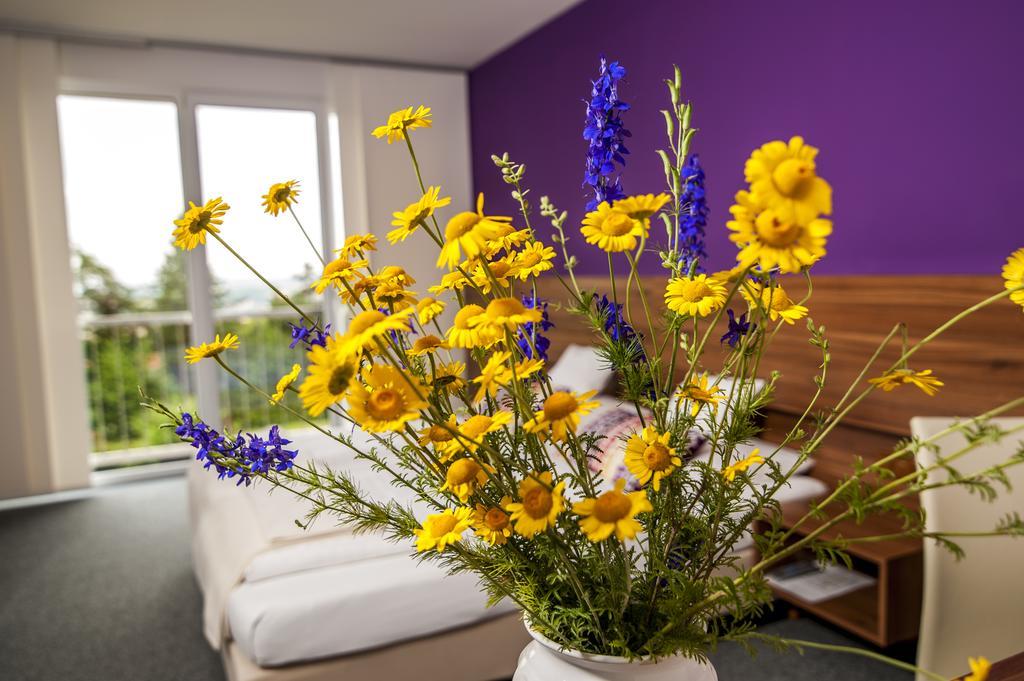 Amethysthotel Mantler Maissau エクステリア 写真