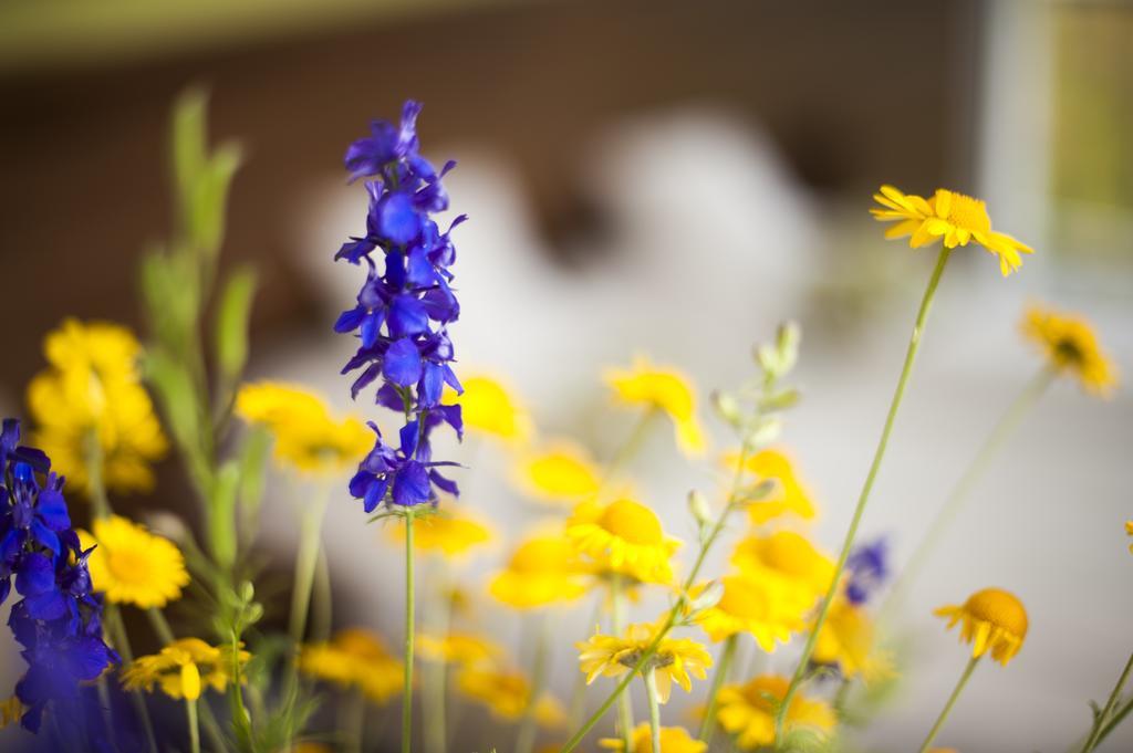 Amethysthotel Mantler Maissau エクステリア 写真